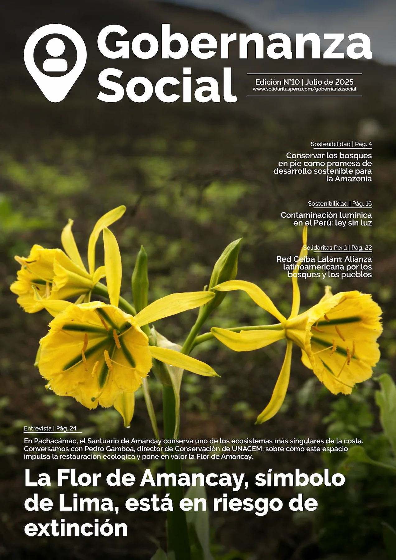 portada-10
